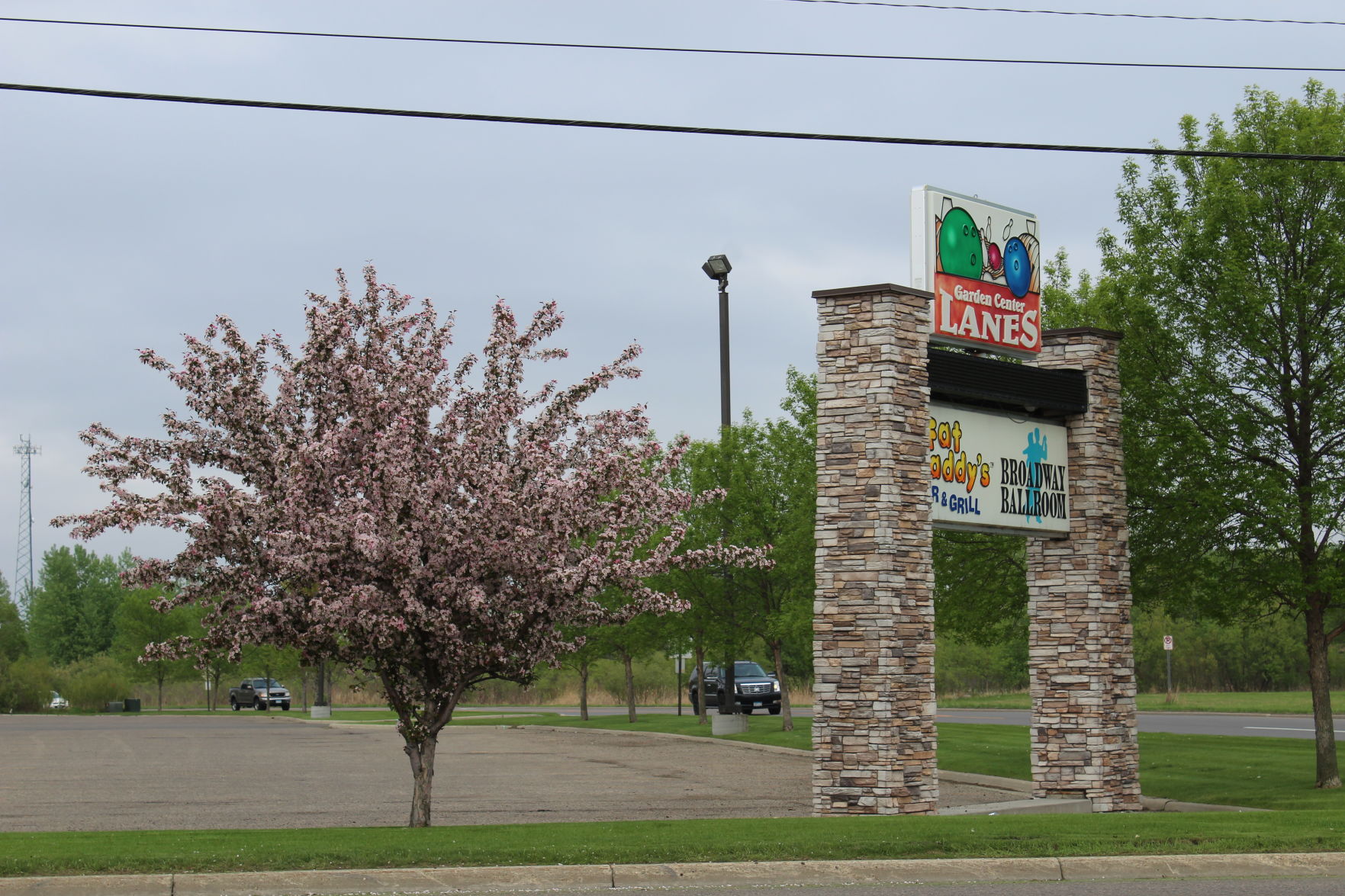 Apple Blossoms of Alexandria